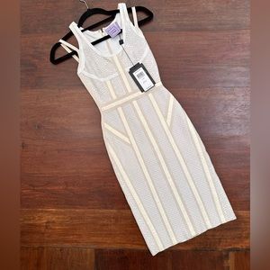 Herve leger dress